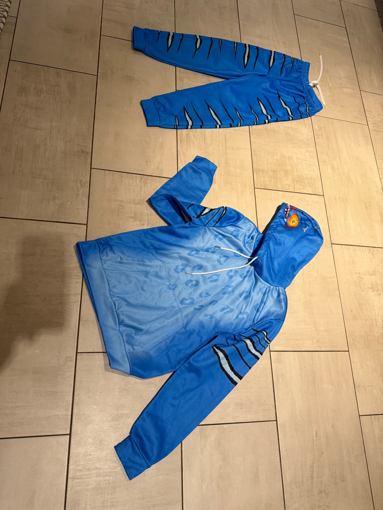 Derpy Blue Tiger Stripe Hoodie & Jogger Set (Kpop Costume)